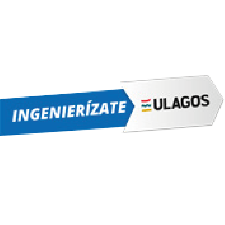 Ingenierízate